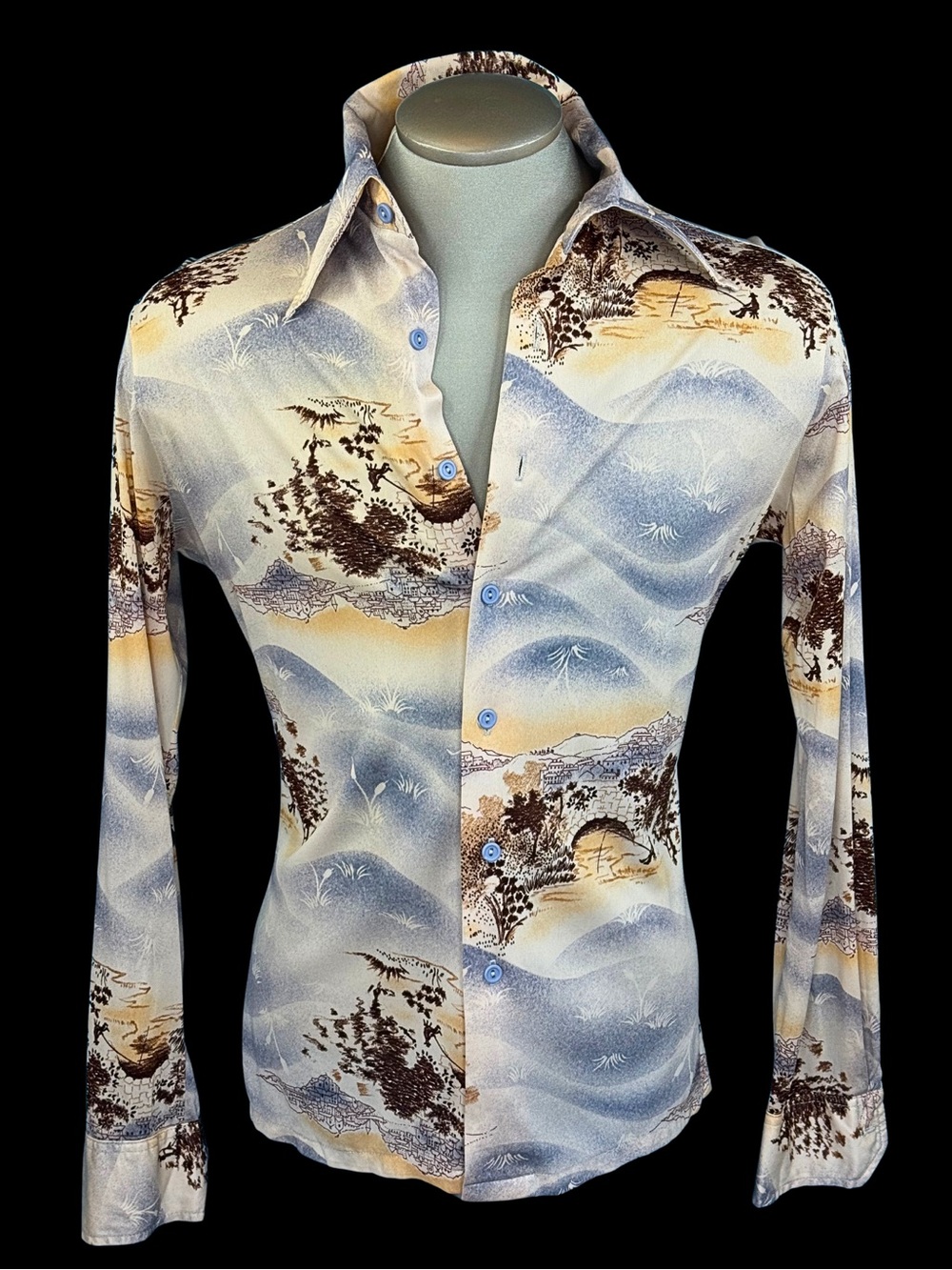 1970s DaVinci Novelty Landscape Print Dagger Collar Retro Disco Shirt | M